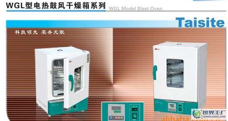出口型鼓風干燥箱、WGL-30B烘箱、精密恒溫干燥箱_鼓風干燥箱 _世界工廠網